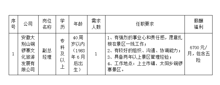 安徽大別山銅鑼寨文化旅游發(fā)展有限公司公開招聘臨時工作人員公告（一）