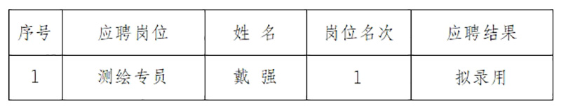 安徽大別山工程咨詢有限公司2024年招聘臨時工作人員擬錄用公示